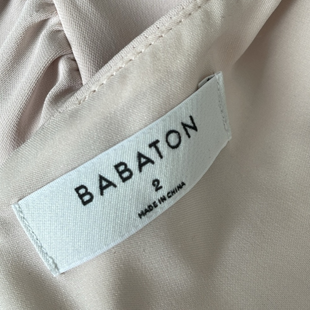 Babaton Encore Ruched Dress - Picture 9 of 10